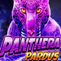 GRAB88 - Panthera Pardus | grab88 | GRAB88